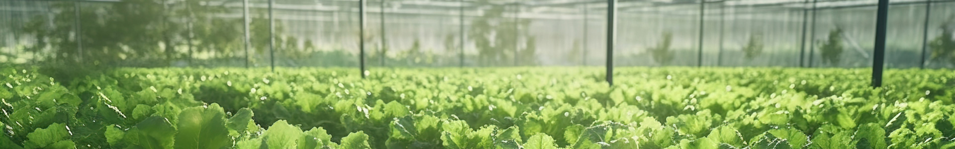 environmental-sensor