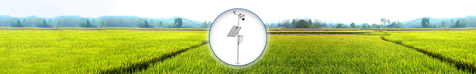 product_cate_img (4)